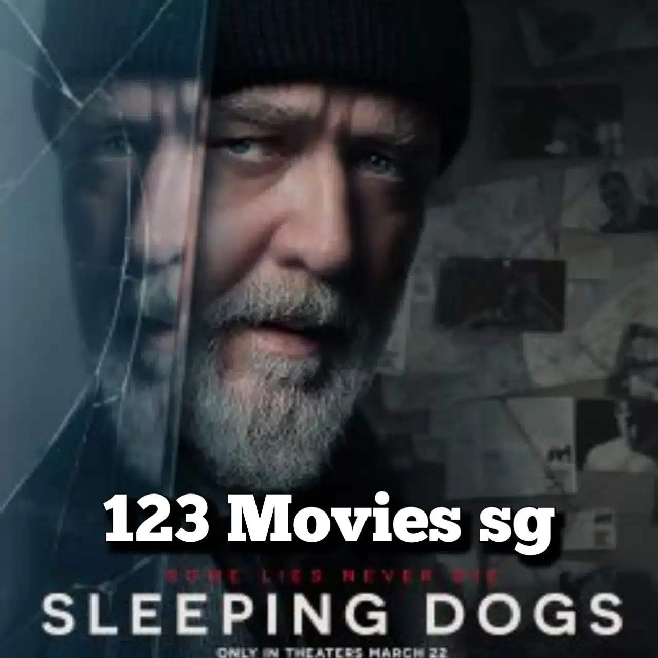 Sleeping Dogs 2024 (FullMovie) FilmyZilla Mp4movies,123 movies sg